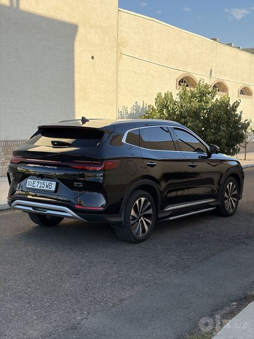 Byd chempion GIBRID 110 tali