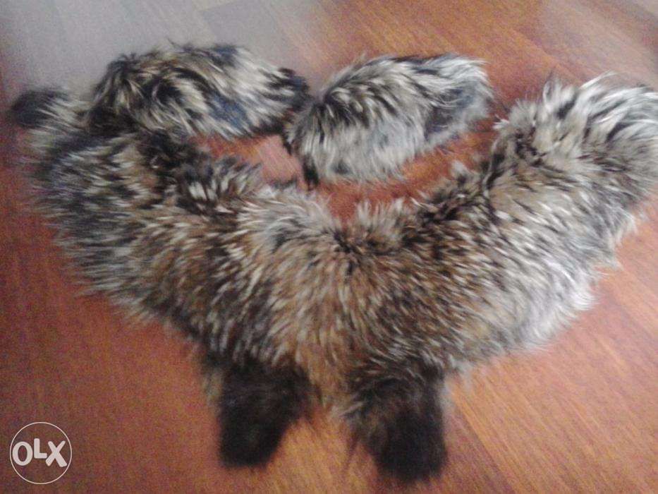 Меховой воротник - енот