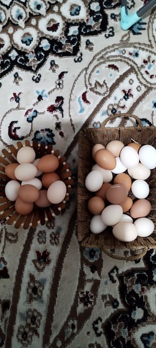 Яйца домашние...