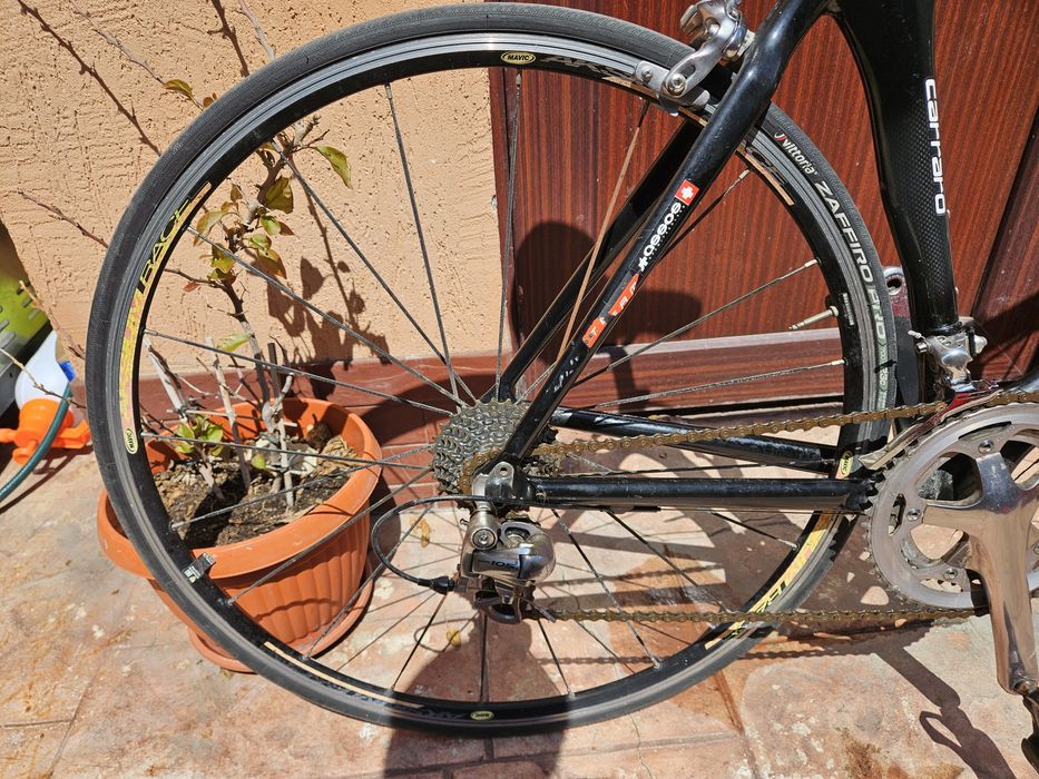 Cursieră Carbon Carraro 52cm – Shimano 105 – Componente Ritchey – Anvelope NOI