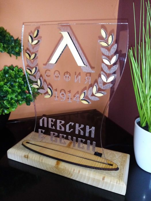 Подарък за фен на Левски София