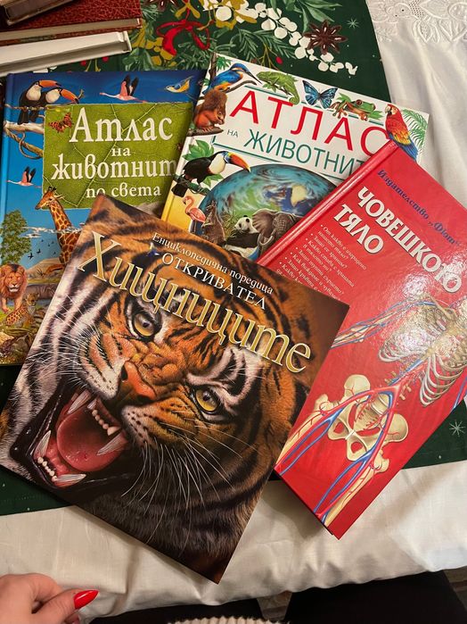 Голямата енциклопедия на света детски енциклопедии - Магология Дракони