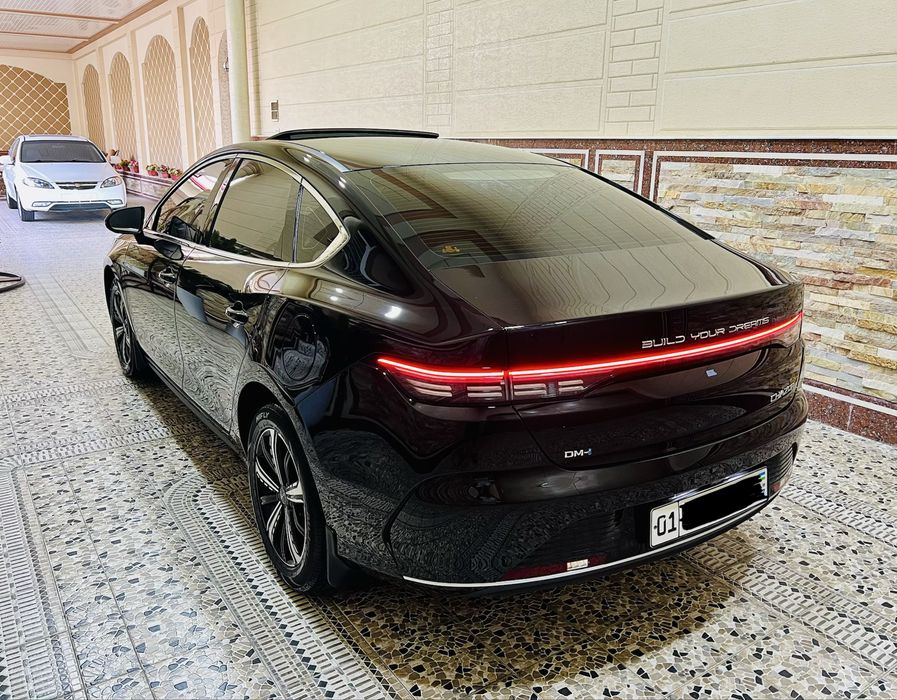BYD Chazor 120 tali kraska Toza
