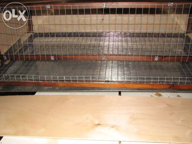 Клетки для перепелов