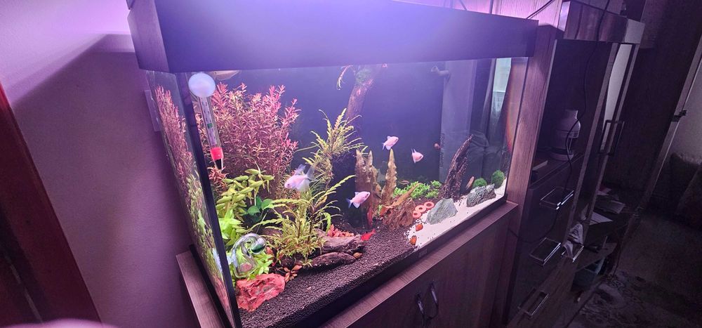 Acvariu 125l juwel complet echipat