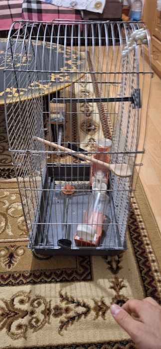 Клетка для птичек