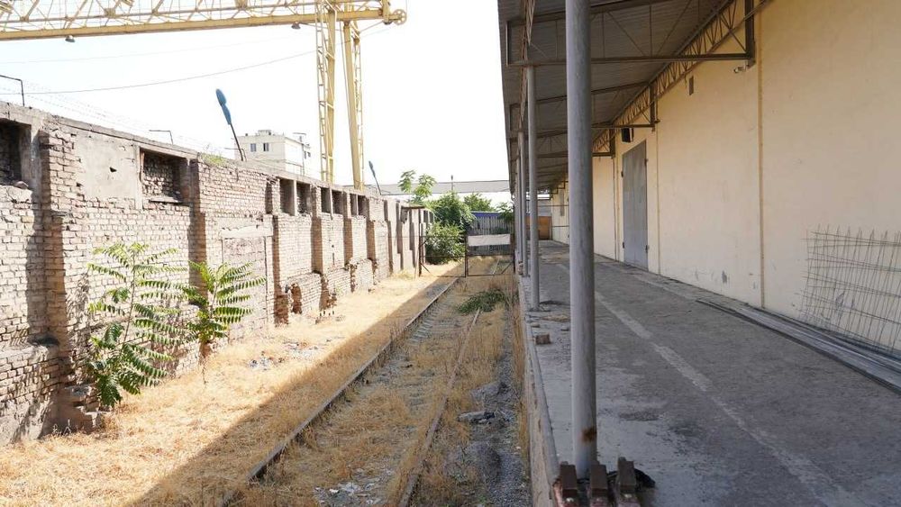 Бизнес с коммерческой недвижимостью и лицензией таможенного склада