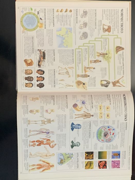 Фактопедия Илюстрована Енциклопедия