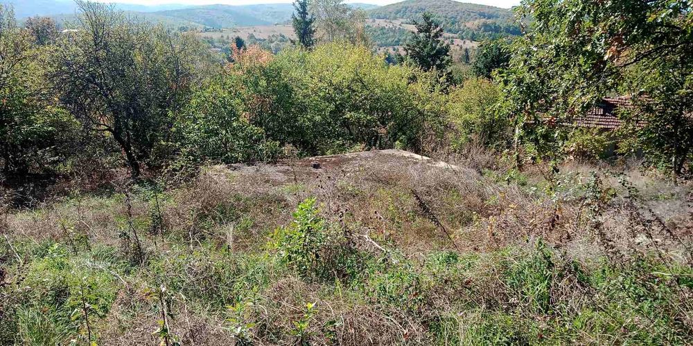 Продава се Парцел в с. Борика, Област София-област - 850 кв.м за 36 €/кв.м - Снимка #2