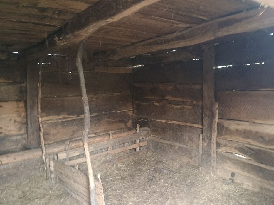 Șură de lemn stejar de vânzare