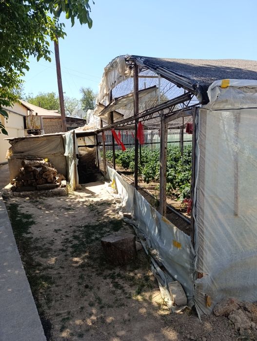 Чиназ тумани, Алмазар қирғонида 8 хонали  20 сотих ҳовли-сотилади!