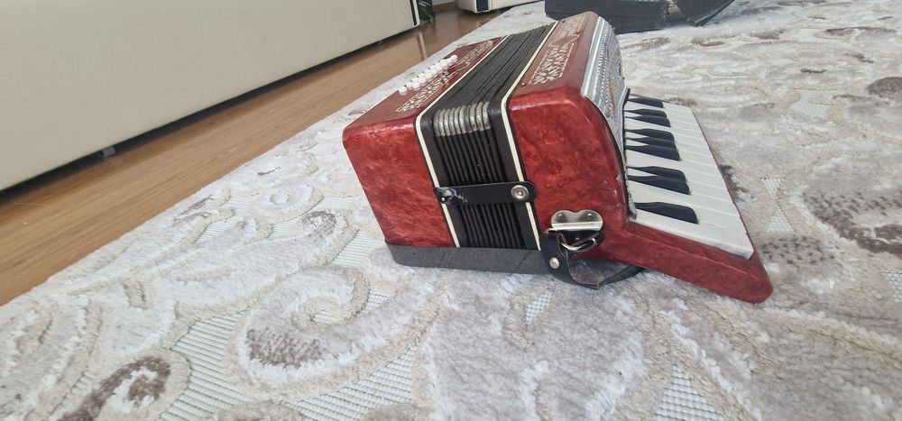 Vand acordeon mic copii/adulti