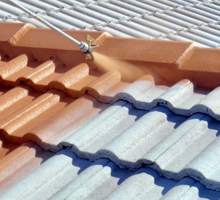 Покраска крыши (быстро, качественно)