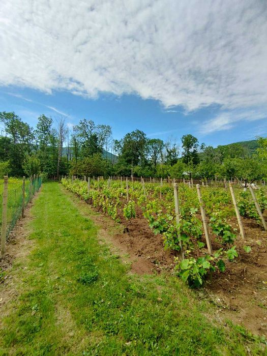 Продава се Къща в Търговище, Вилна зона - 55 кв.м за 696 €/кв.м - Снимка #23