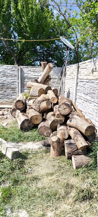 Lemne ieftine pentru iarna