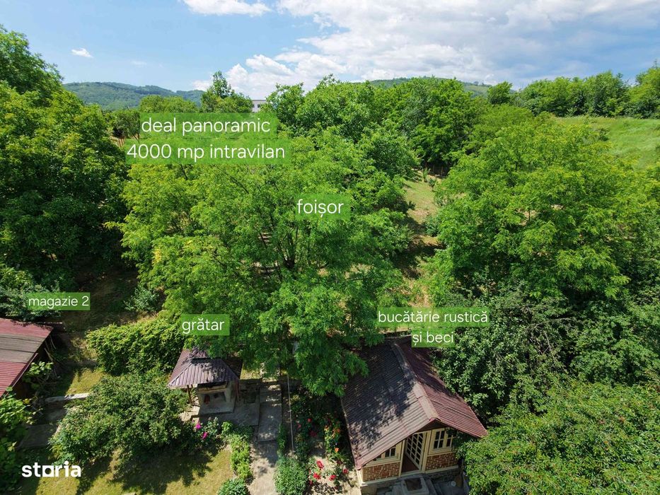 Conac modern cu deal propriu: 399 mp casă, 4828 mp teren