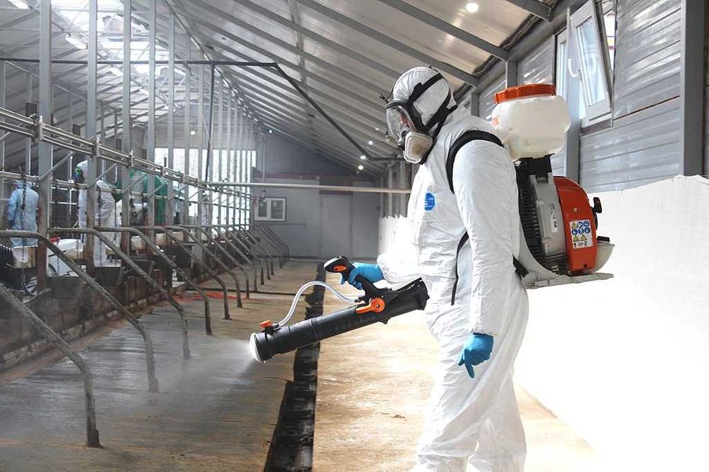 40% chegirma Dezinfeksiya dezenfeksiya dizinfeksiya 24 soat Bektemir