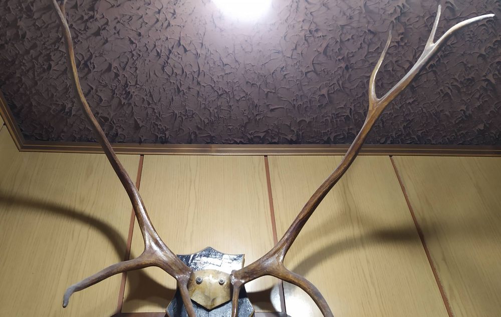 Еленови рога на стойка