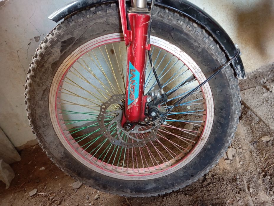 Velik yahshi haydalgan