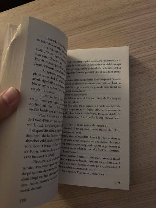 Pisicile războinice, vol. 2 – Foc și gheață, Erin Hunter