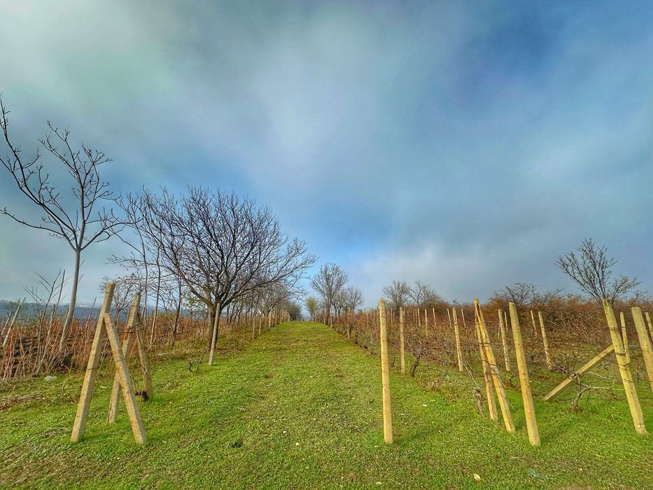 Teren senzațional cu vedere panoramica 360 altitudine 250 m