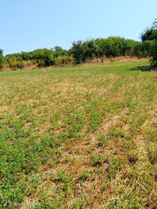 Тухлена къща със стопански постройки