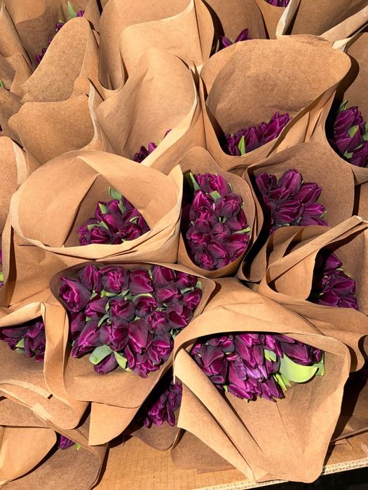 Тюльпаны в розницу