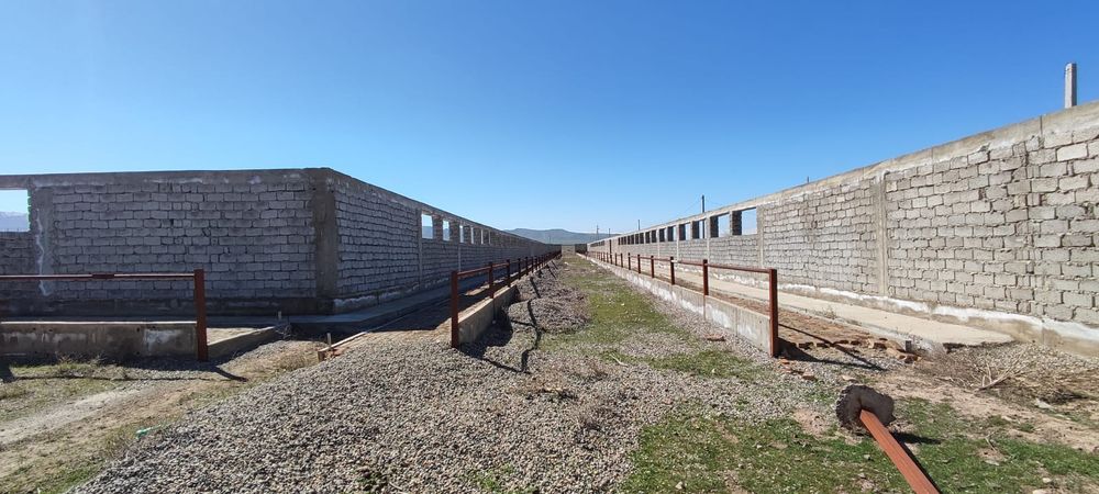 Фазенда с земельнцм участком