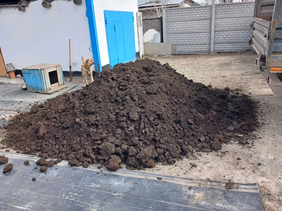 Продам перегной сухой чистый