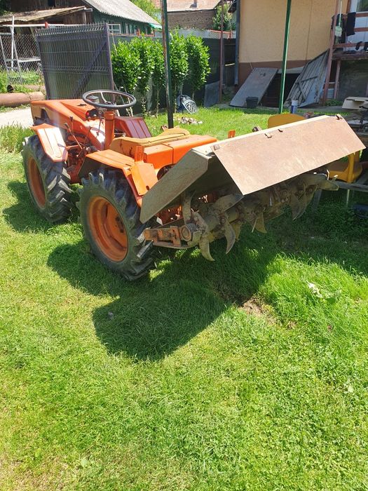 De vânzare pasquali adus Italia