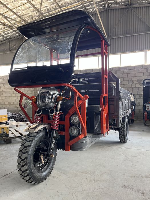 Муравей трицикл skilmax электровелик