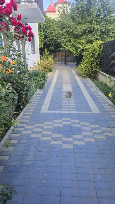 Cazare Costinești