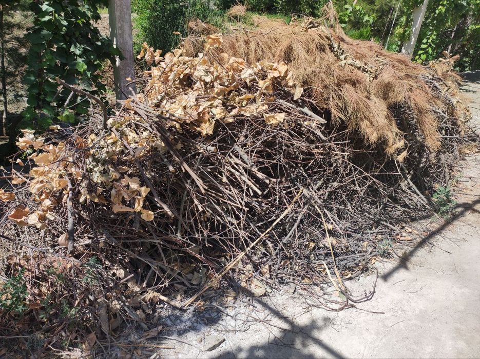 O'tin va kundalar sotiladi. Bir moshin bor