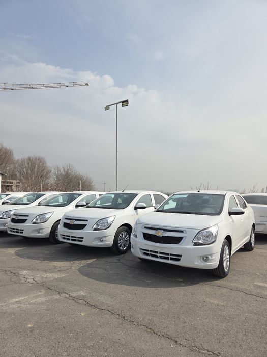 **Cobalt style msm 2026 masla