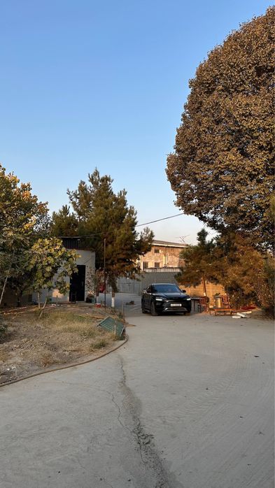 28,8 SOTIX hudud sotiladi