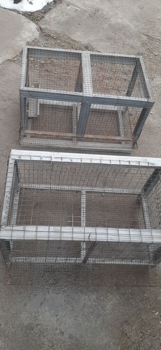 Брудера для перепёл, цыплят