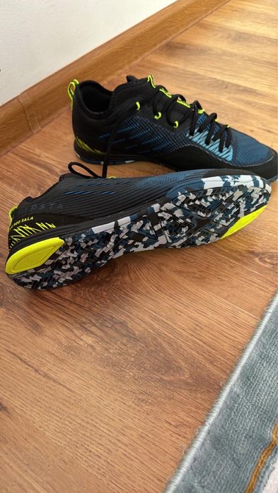 Сороконожки новые