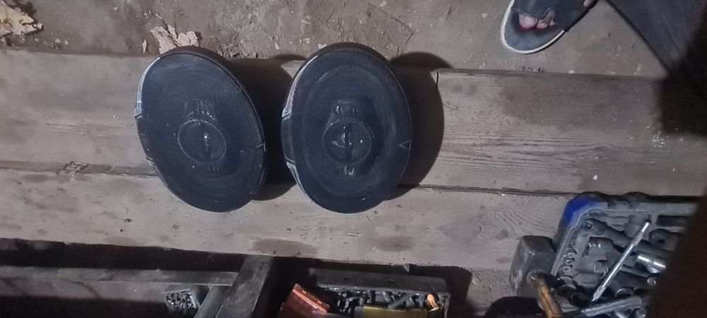 Kenvod arginal kalonka sotiladi