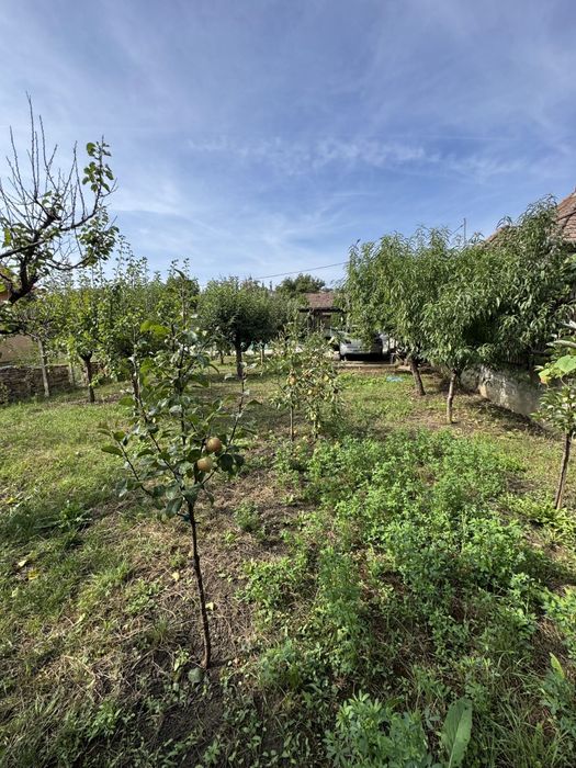 Casă de vânzare în Târnăveni, zonă liniștită – Strada George Coșbuc