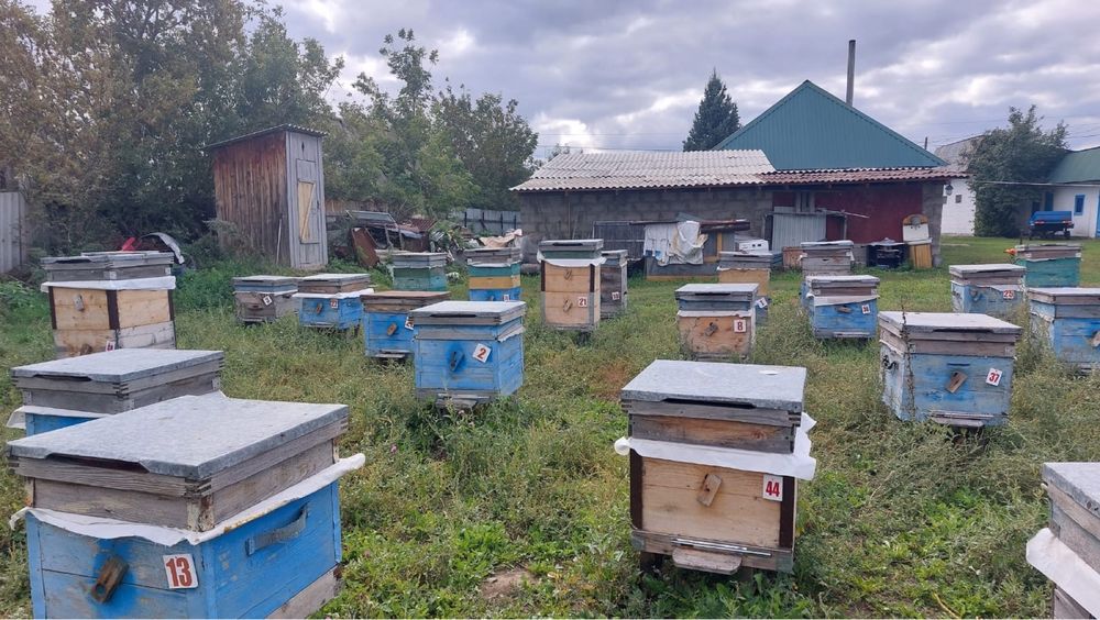 Продам улья в комплекте