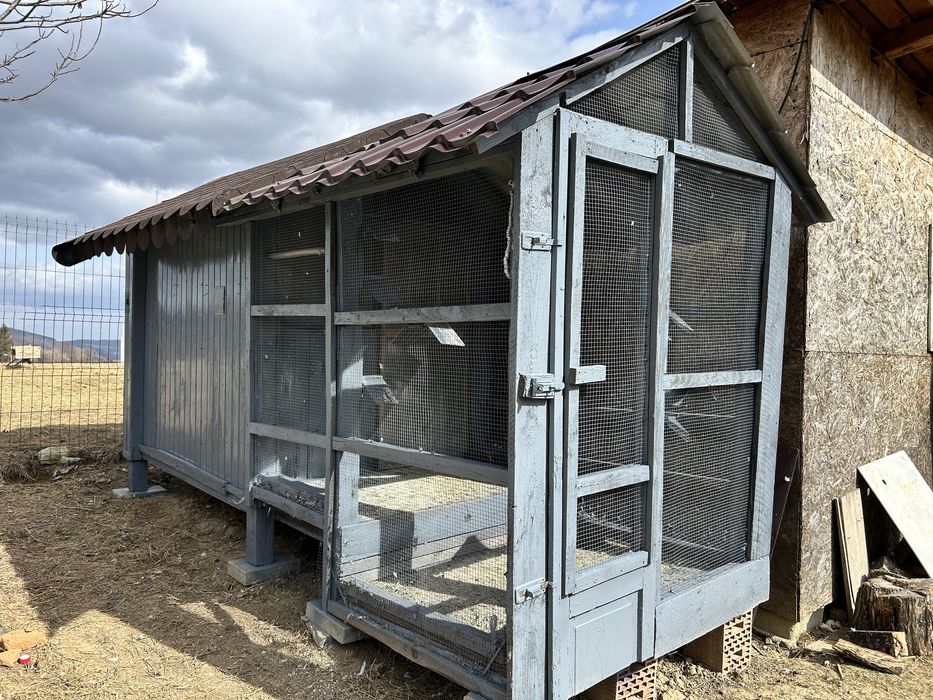 Vand voliera porumbei , pasari , papagali