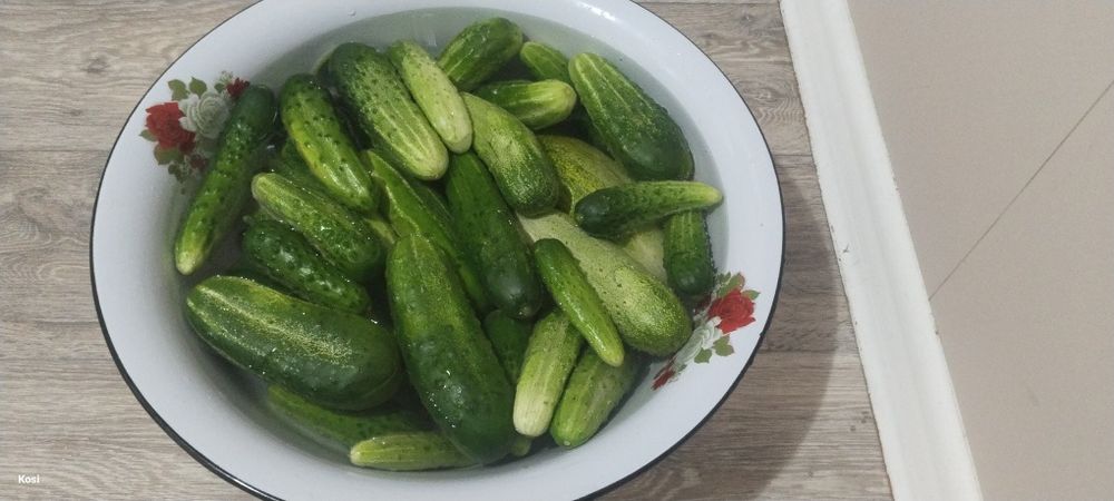 Продам домашние огурцы