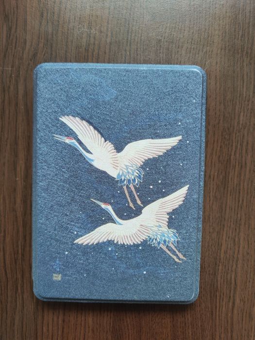 Kindle Paperwhite (10th Gen)