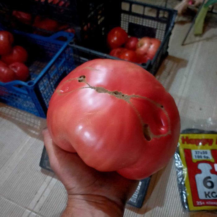 Продавам розов домат