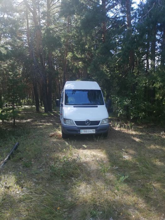 Пассажирские перевозки