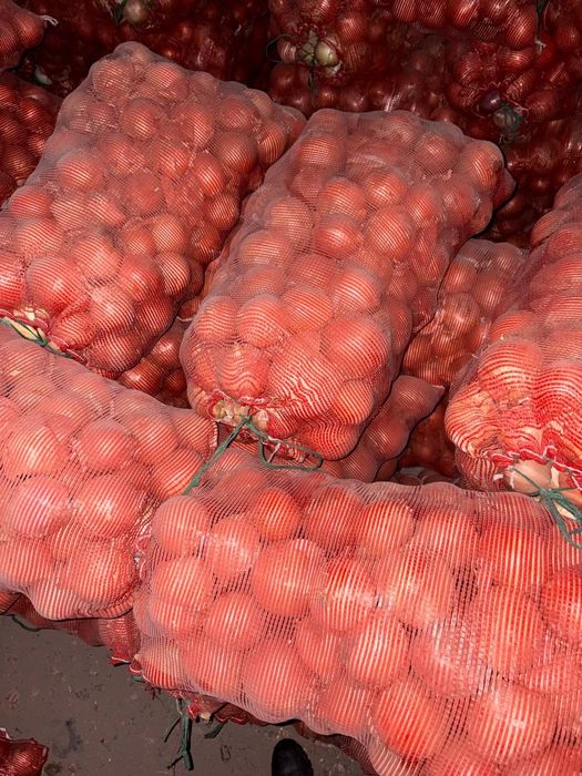 Лук репчатый очень хорошего качества.
