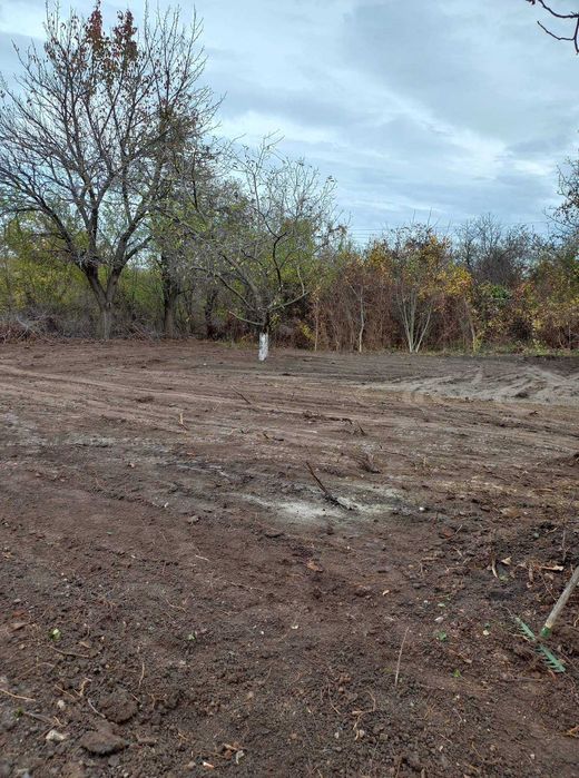 Услуги със Самосвал, Челен товарач, Багер