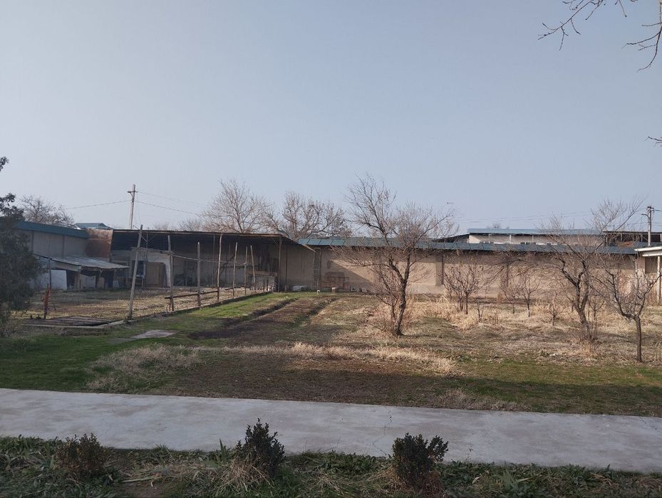 Янги Узбекисктан 12 соток