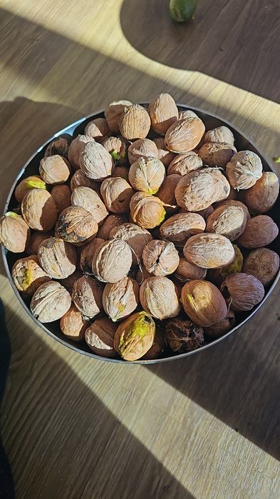 Vand nuci verzi in coaja