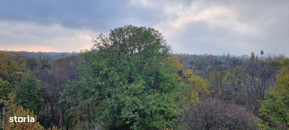 Herastrau Soseaua Nordului Apartament 5 Camere Vedere Panoramica Parc — fotografia 2